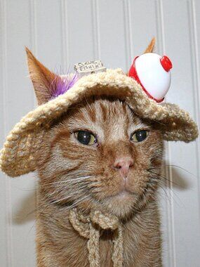 HAND CRAFTED Gone Fishing Cat Hat Crochet Hairy Wig Costume Photo Prop
